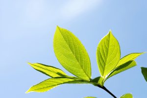 NPO法人会計について